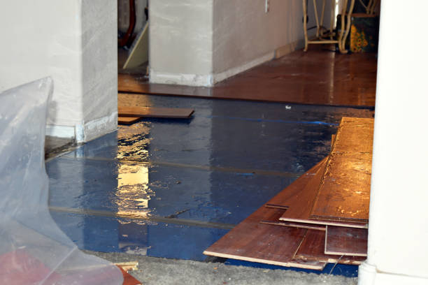 Professional Basement Flood Cleanup technician working in Centre, AL